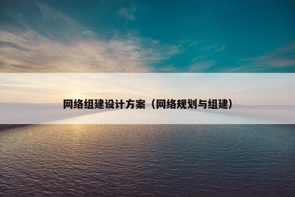 网络组建设计方案（网络规划与组建）