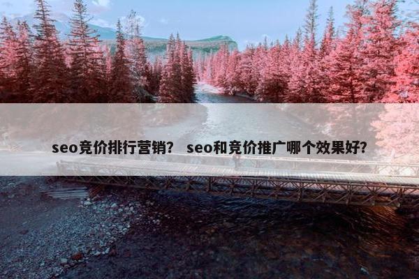 seo竞价排行营销？ seo和竞价推广哪个效果好？