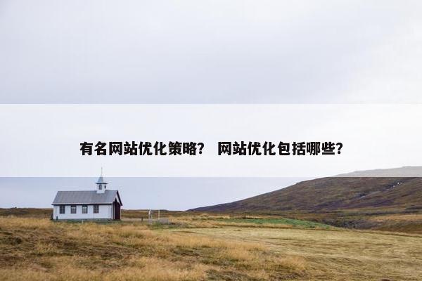 有名网站优化策略？ 网站优化包括哪些？
