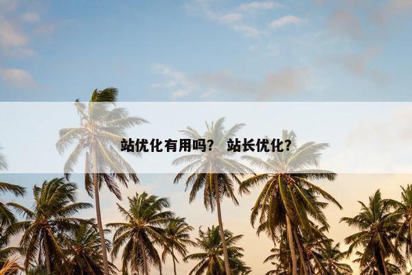 站优化有用吗？ 站长优化？