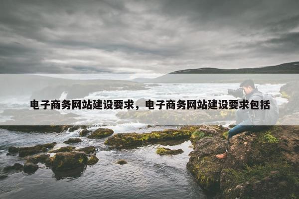 电子商务网站建设要求，电子商务网站建设要求包括
