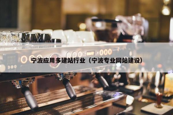 宁波应用多建站行业（宁波专业网站建设）