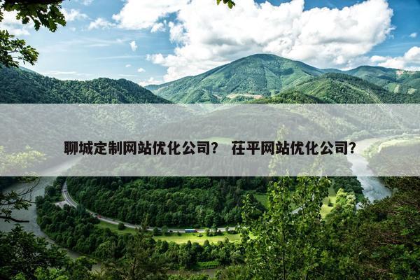 聊城定制网站优化公司？ 茌平网站优化公司？