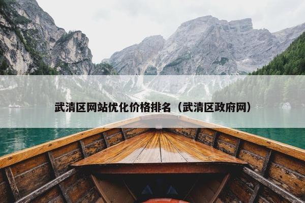 武清区网站优化价格排名（武清区政府网）