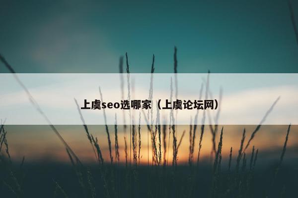 上虞seo选哪家（上虞论坛网）