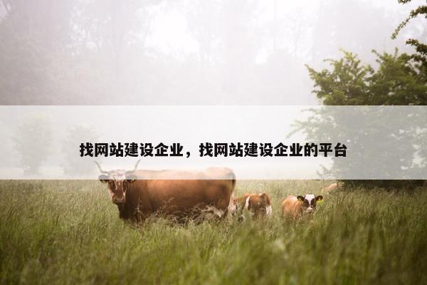 找网站建设企业，找网站建设企业的平台