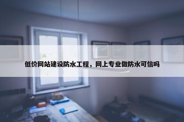 低价网站建设防水工程，网上专业做防水可信吗