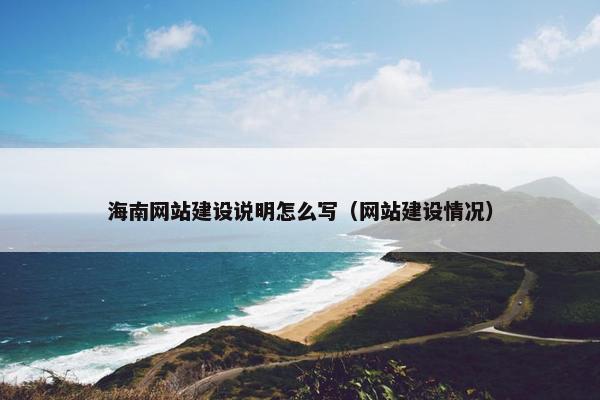 海南网站建设说明怎么写（网站建设情况）