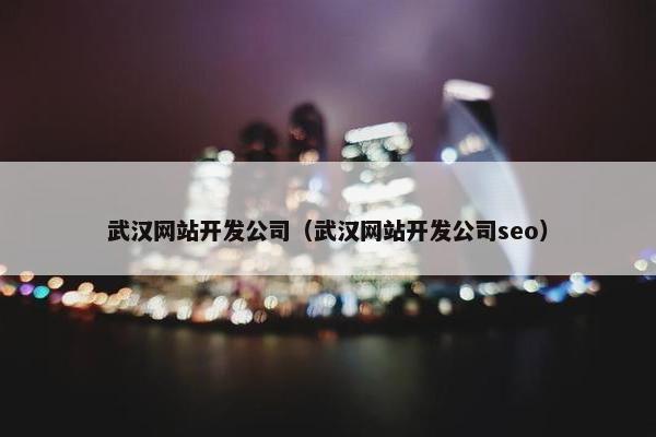 武汉网站开发公司（武汉网站开发公司seo）