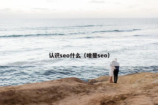 认识seo什么（啥是seo）