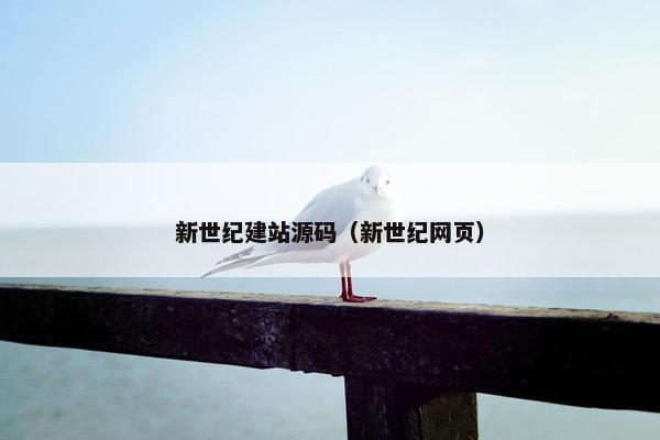 新世纪建站源码（新世纪网页）