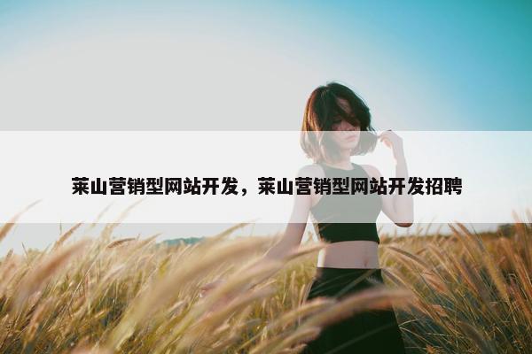 莱山营销型网站开发，莱山营销型网站开发招聘