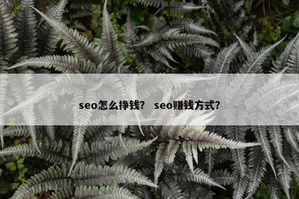 seo怎么挣钱？ seo赚钱方式？