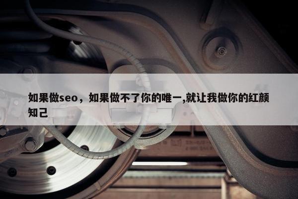 如果做seo，如果做不了你的唯一,就让我做你的红颜知己