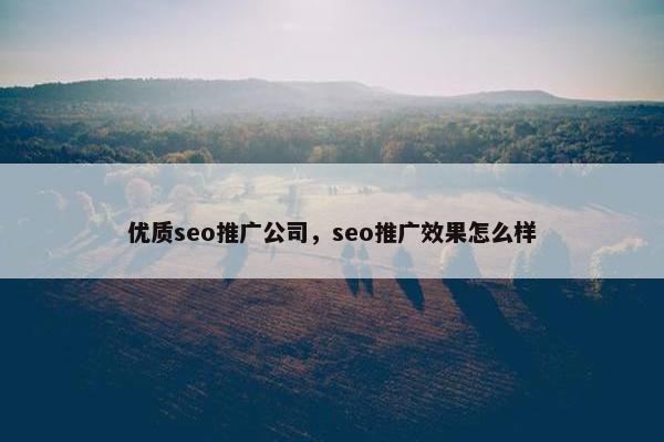 优质seo推广公司，seo推广效果怎么样