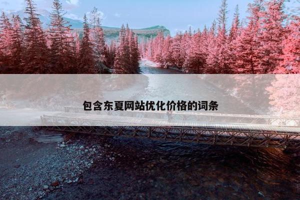 包含东夏网站优化价格的词条
