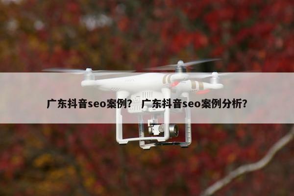 广东抖音seo案例？ 广东抖音seo案例分析？