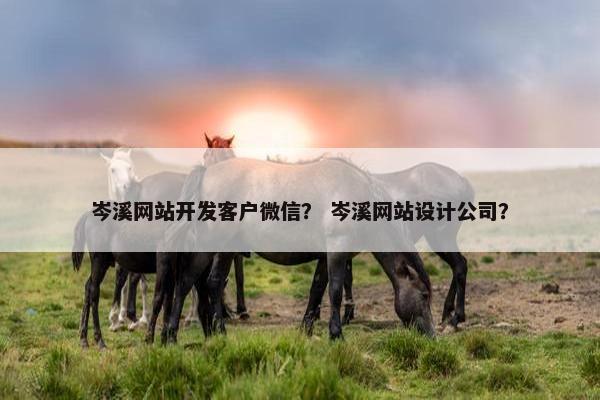 岑溪网站开发客户微信？ 岑溪网站设计公司？