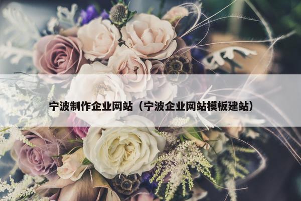 宁波制作企业网站（宁波企业网站模板建站）