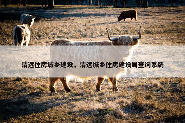 清远住房城乡建设，清远城乡住房建设局查询系统