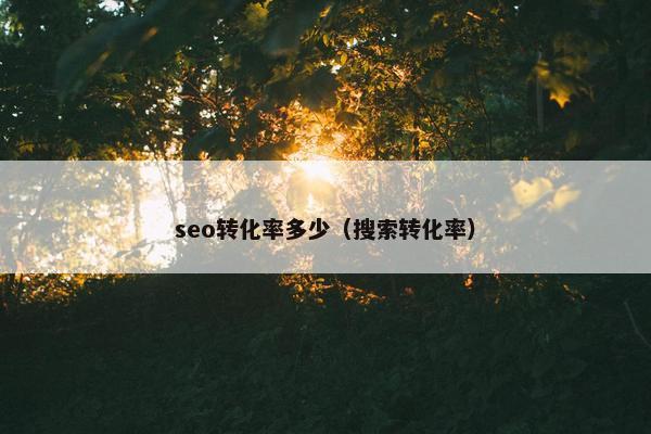seo转化率多少（搜索转化率）
