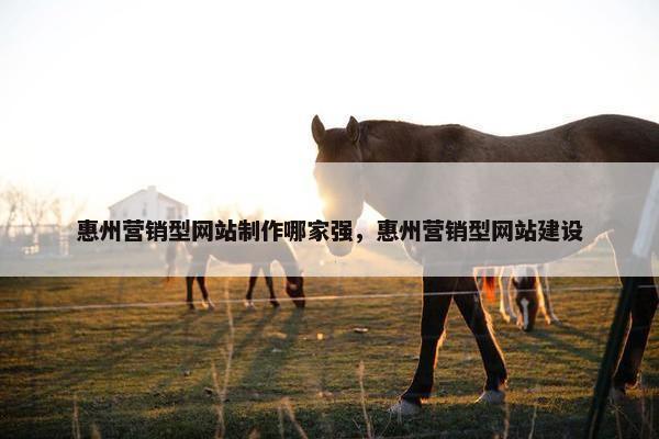 惠州营销型网站制作哪家强，惠州营销型网站建设