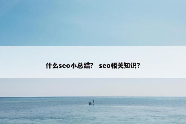 什么seo小总结？ seo相关知识？