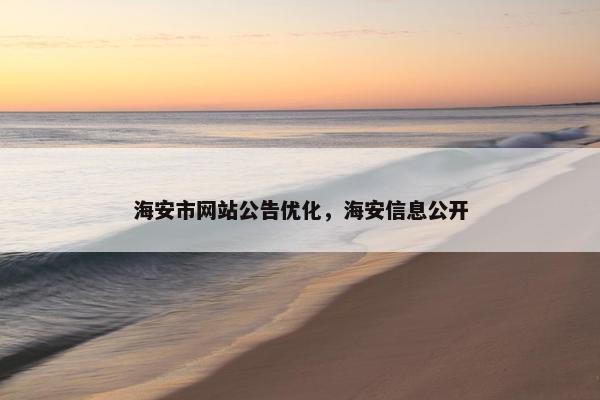海安市网站公告优化，海安信息公开