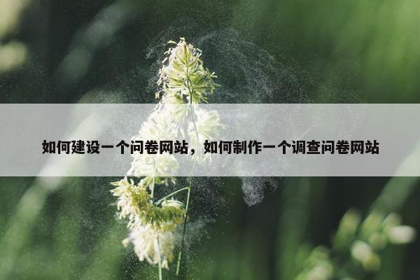 如何建设一个问卷网站，如何制作一个调查问卷网站