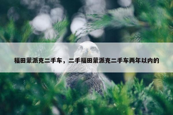 福田蒙派克二手车，二手福田蒙派克二手车两年以内的