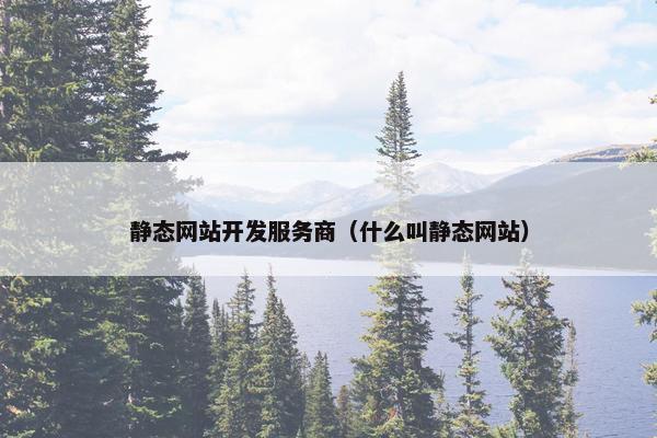 静态网站开发服务商（什么叫静态网站）