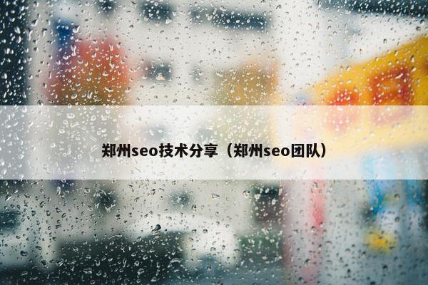 郑州seo技术分享（郑州seo团队）