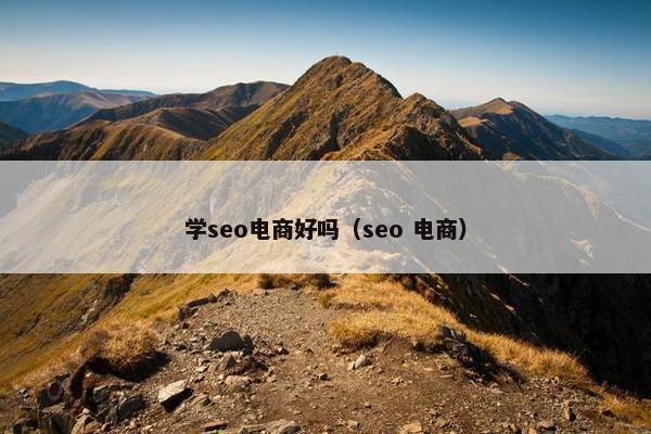 学seo电商好吗（seo 电商）