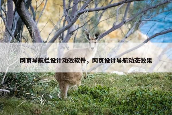 网页导航栏设计动效软件，网页设计导航动态效果