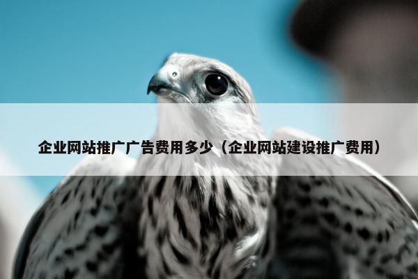 企业网站推广广告费用多少（企业网站建设推广费用）