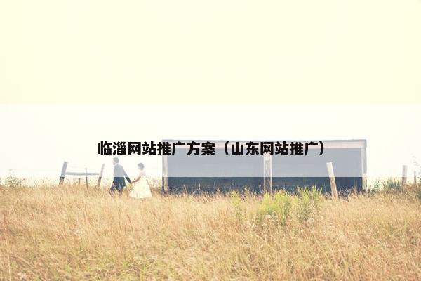 临淄网站推广方案（山东网站推广）