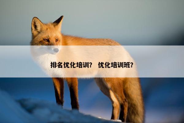排名优化培训？ 优化培训班？