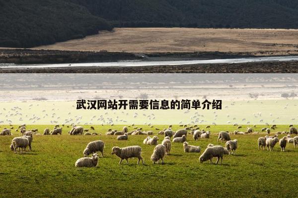 武汉网站开需要信息的简单介绍