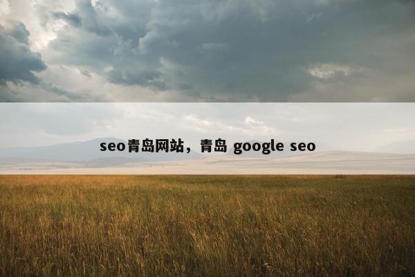 seo青岛网站，青岛 google seo