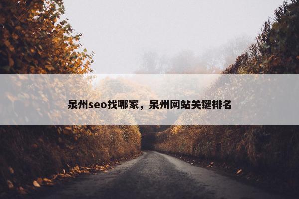 泉州seo找哪家，泉州网站关键排名