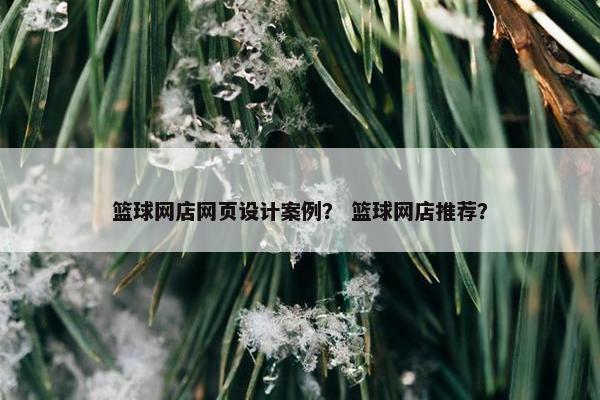 篮球网店网页设计案例？ 篮球网店推荐？
