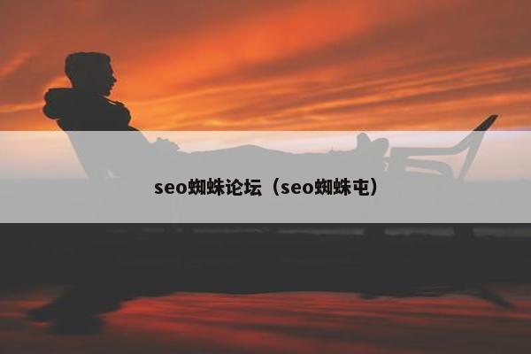 seo蜘蛛论坛（seo蜘蛛屯）