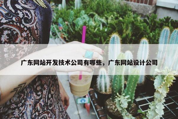 广东网站开发技术公司有哪些，广东网站设计公司