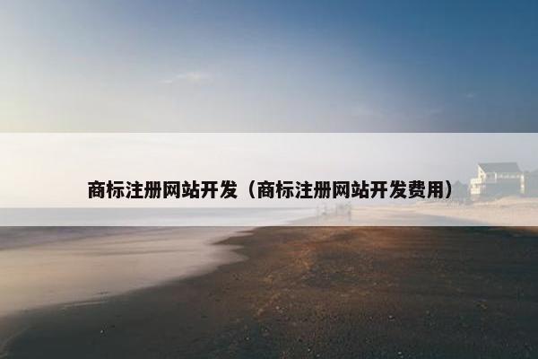 商标注册网站开发（商标注册网站开发费用）