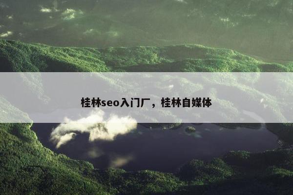 桂林seo入门厂，桂林自媒体