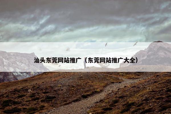 汕头东莞网站推广（东莞网站推广大全）