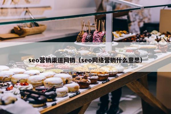 seo营销渠道网销（seo网络营销什么意思）