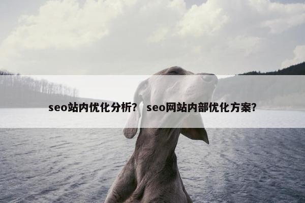 seo站内优化分析？ seo网站内部优化方案？