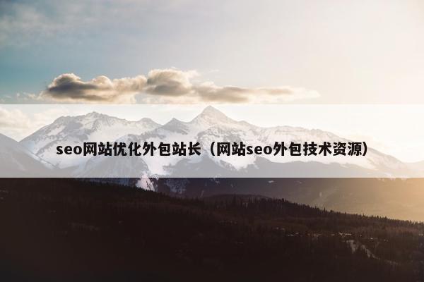 seo网站优化外包站长（网站seo外包技术资源）