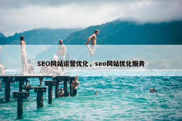 SEO网站运营优化，seo网站优化服务